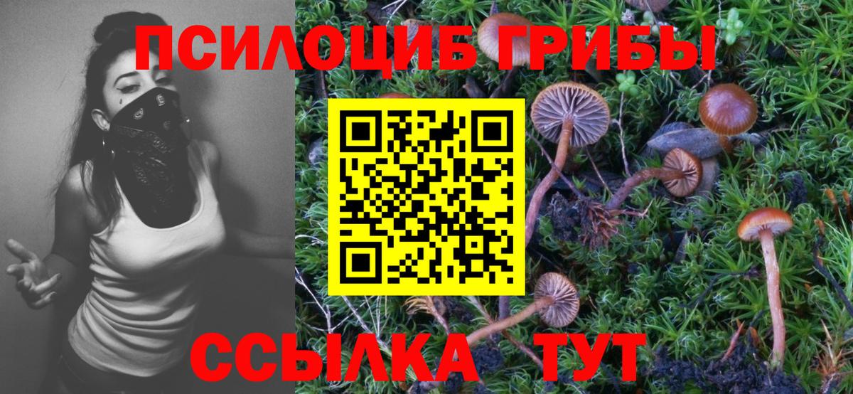 Псилоцибиновые грибы Magic Shrooms Ачхой-Мартан